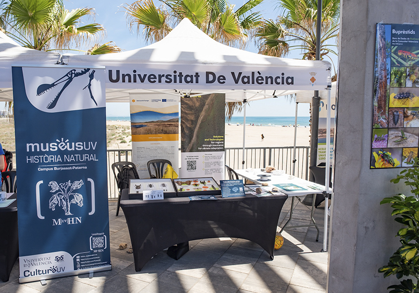 El Museu de la Universitat de València d’Història Natural participa en la II Setmana de la Ciència de Sagunt